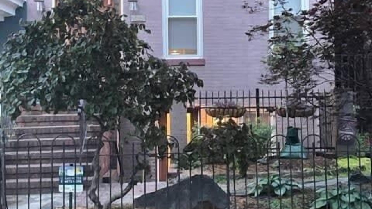 Photo of Others in Near Northeast