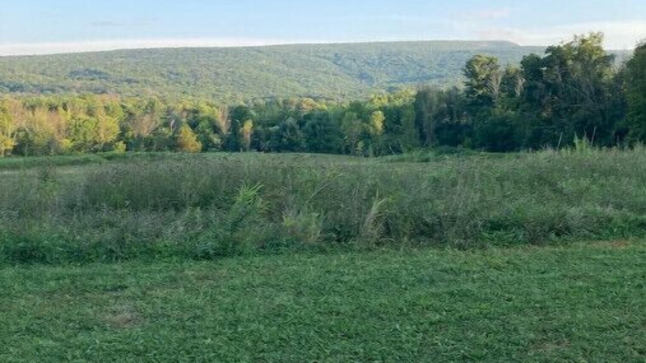 Photo of Outdoor in Kerhonkson