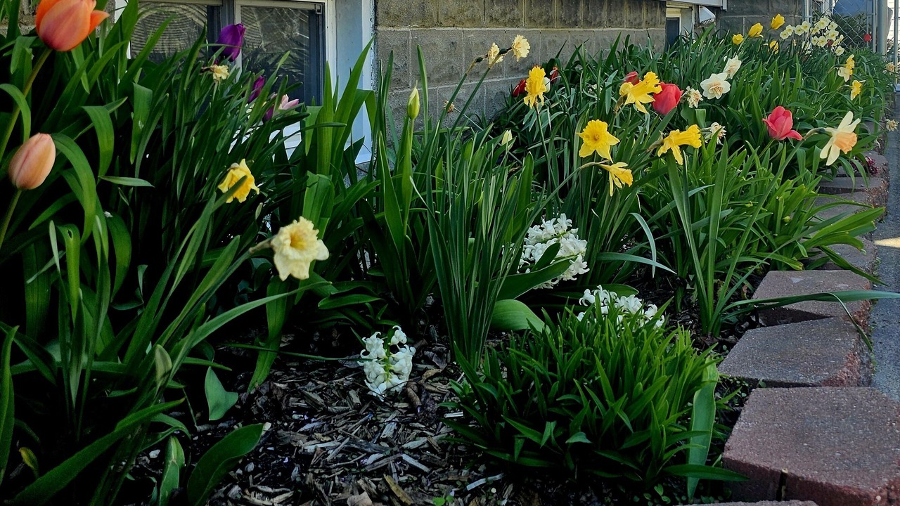 Photo of Outdoor in Port Clinton