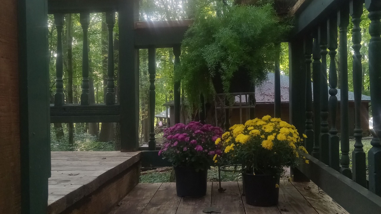 Photo of Patio Balcony in Dellslow