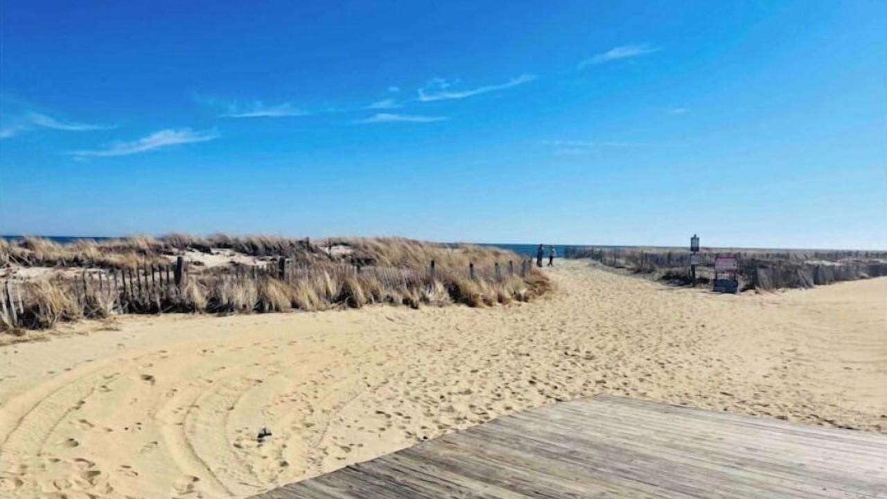 Photo of Others in Long Branch