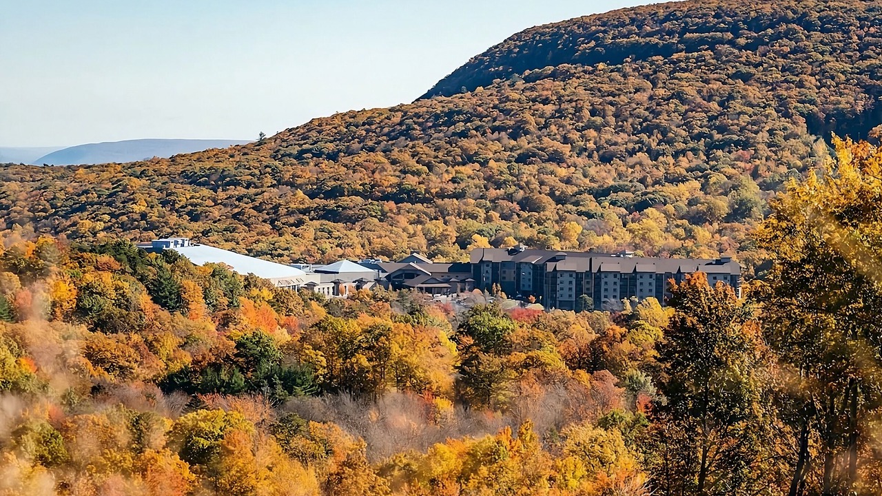 Photo of Outdoor in Tannersville