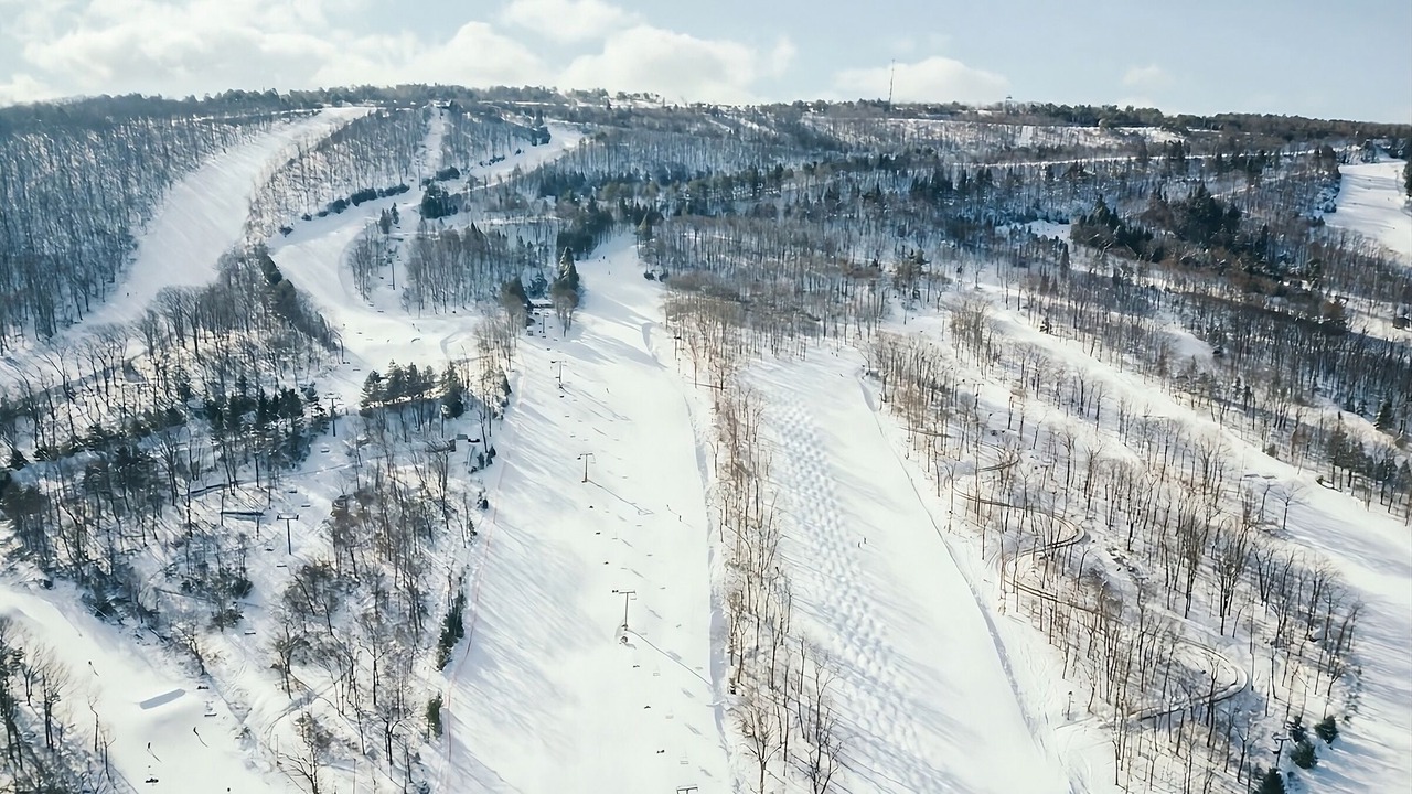 Photo of Others in Tannersville