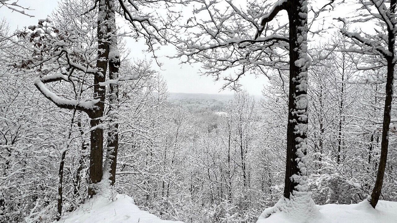 Photo of Outdoor in Cuyahoga Falls