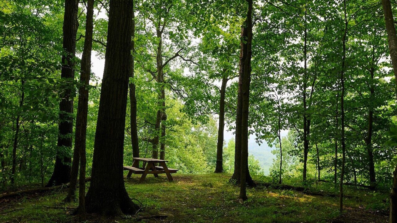 Photo of Outdoor in Cuyahoga Falls