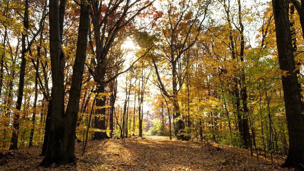 Photo of Others in Cuyahoga Falls
