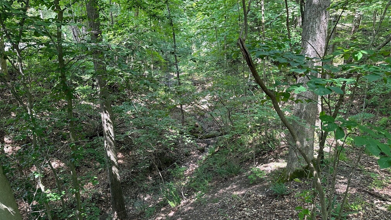 Photo of Outdoor in Cuyahoga Falls