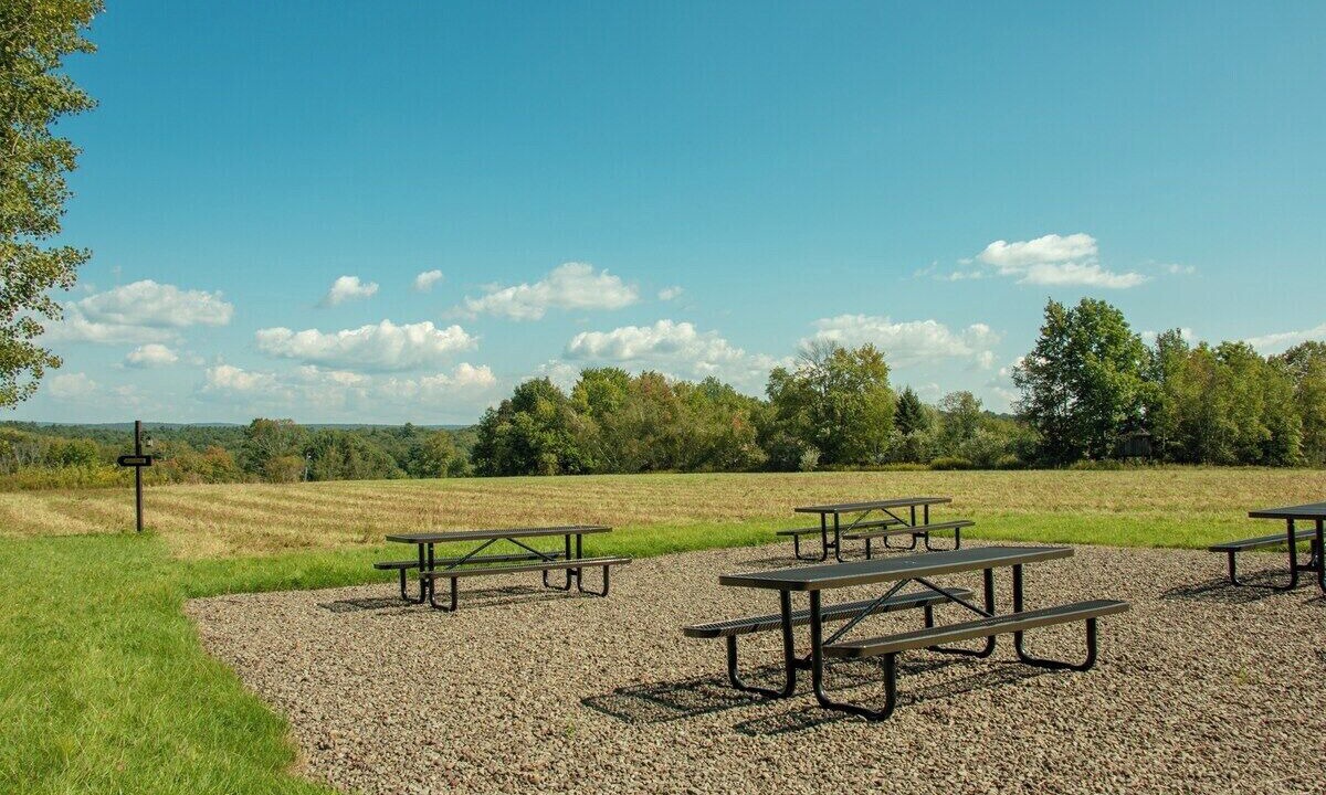 Photo of Outdoor in Beach Lake