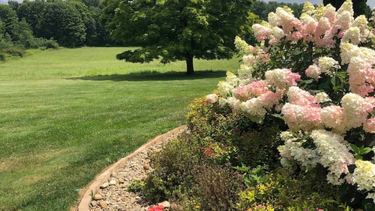 Photo of Outdoor in Hadley