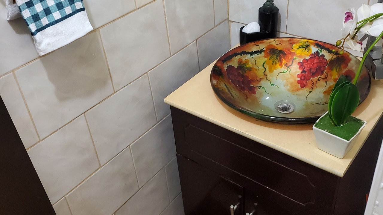 Photo of Bathroom in Flatlands