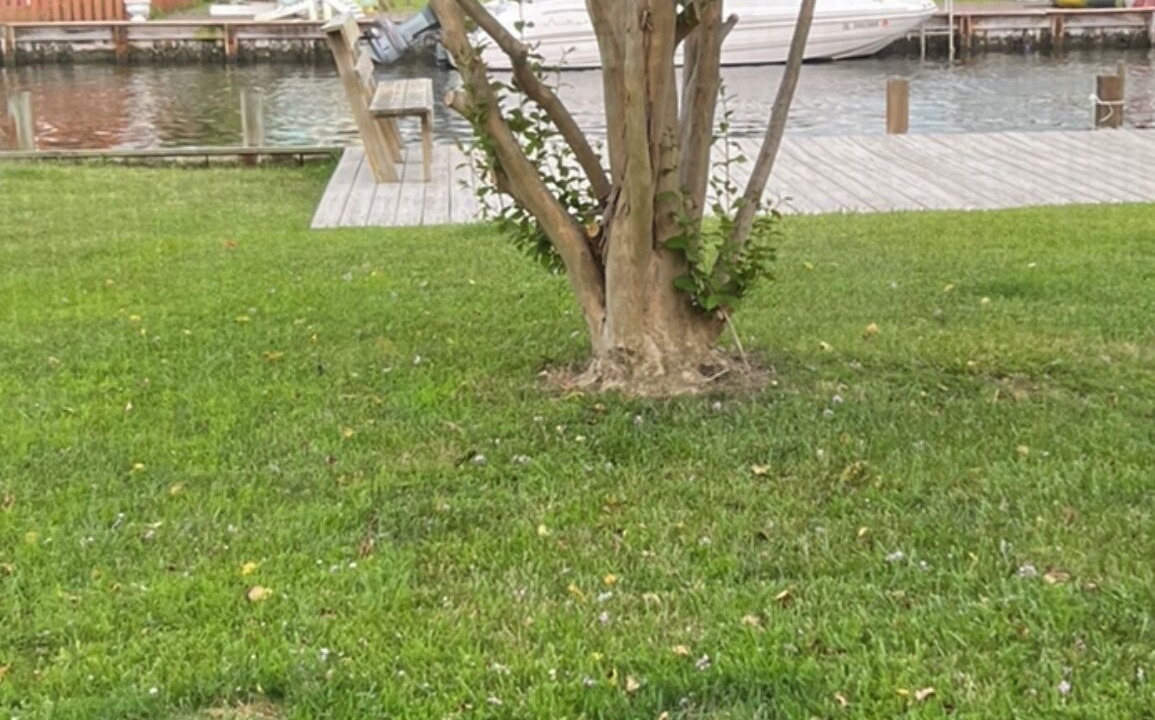 Photo of Outdoor in Fenwick Island