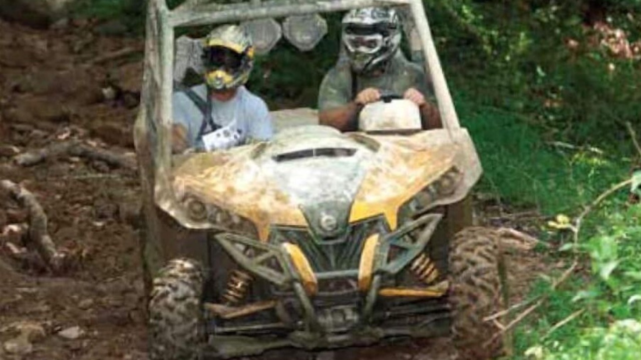 Photo of Others in Bluewell