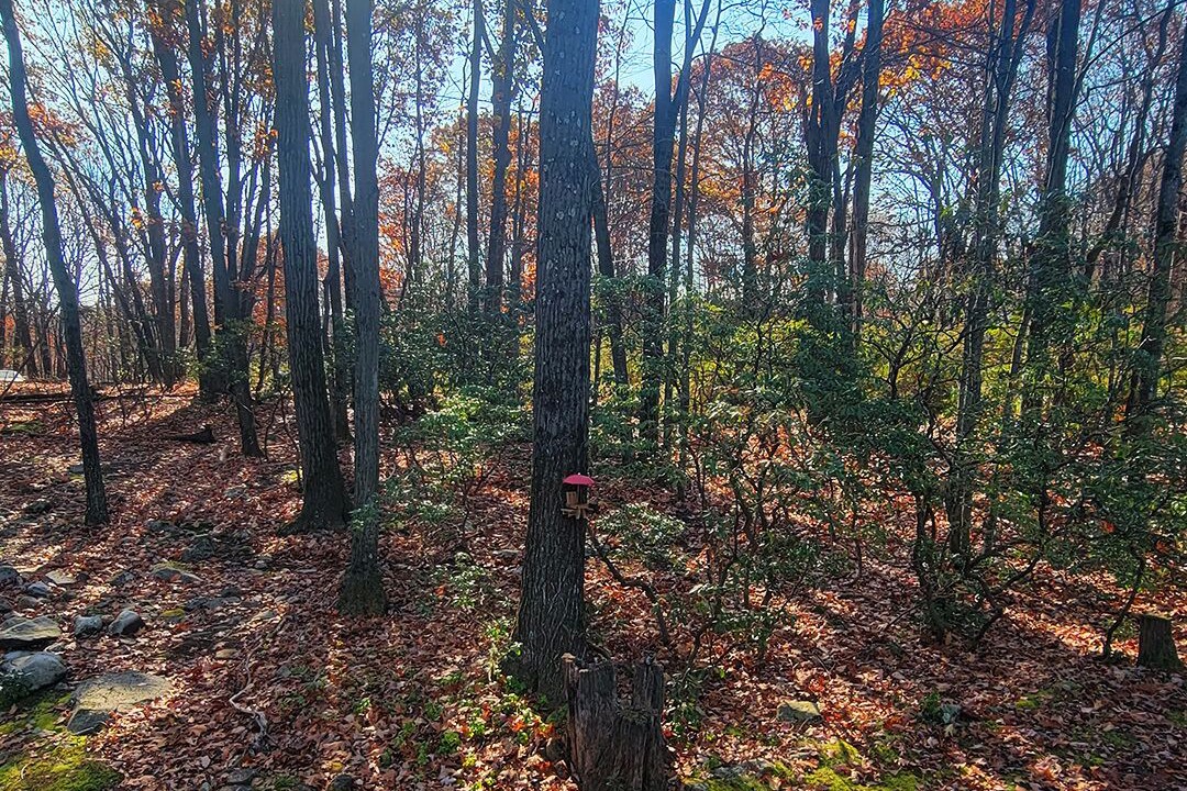 Photo of Others in Mount Pocono