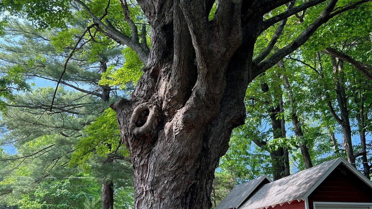 Photo of Outdoor in Town of Marbletown