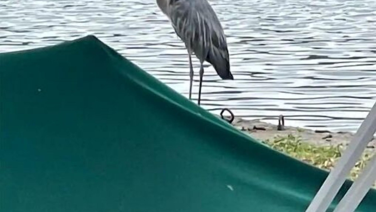 Photo of Others in Hopatcong