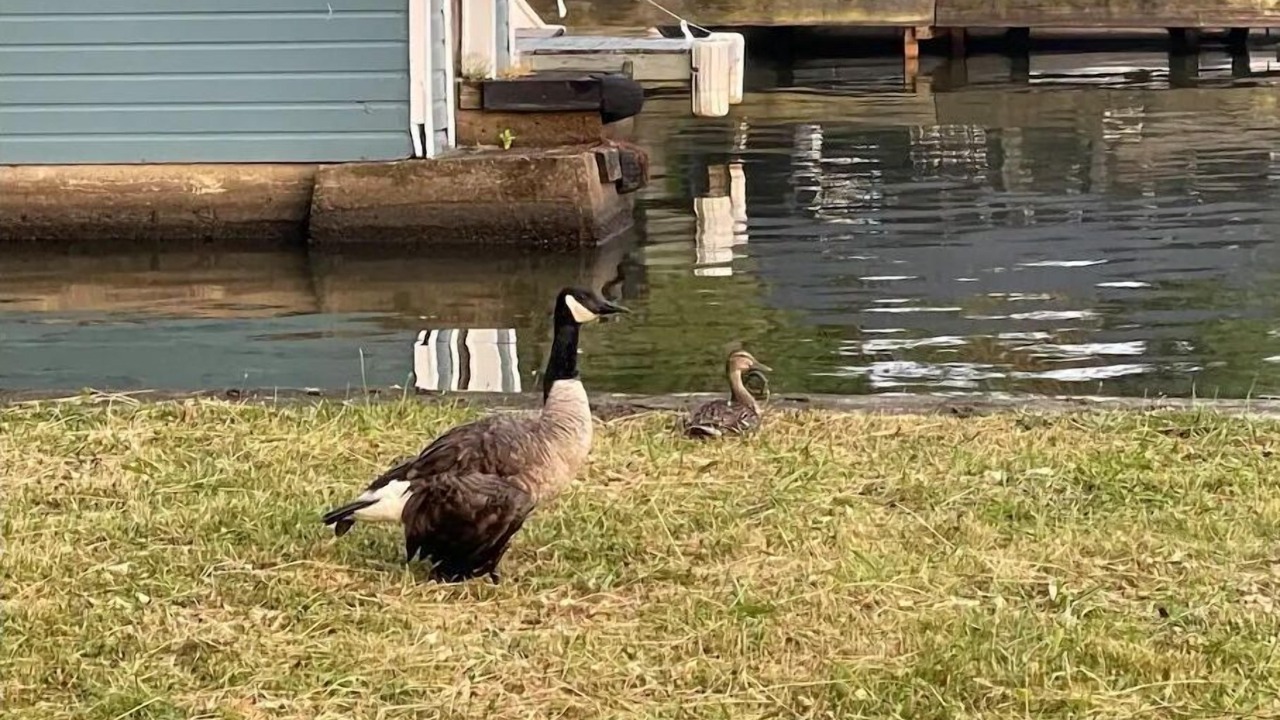 Photo of Others in Hopatcong
