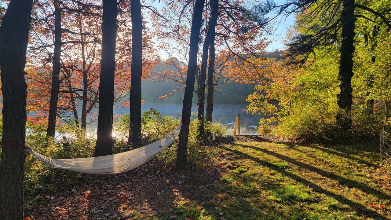 Photo of Outdoor in Long Pond