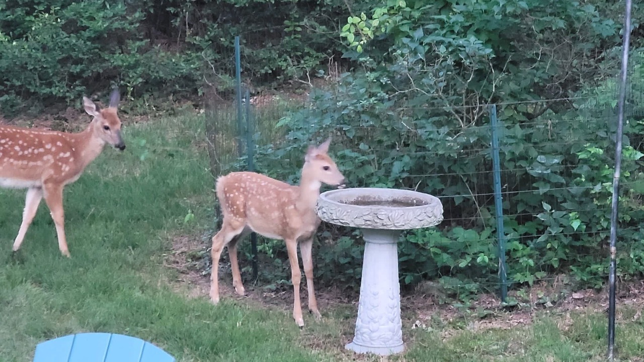 Photo of Outdoor in Long Pond