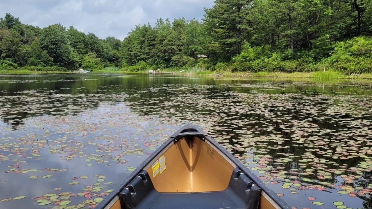 Photo of Others in Long Pond