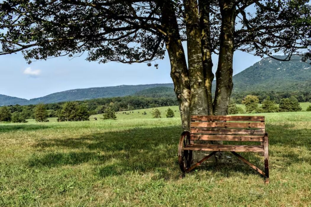 Photo of Outdoor in Luray