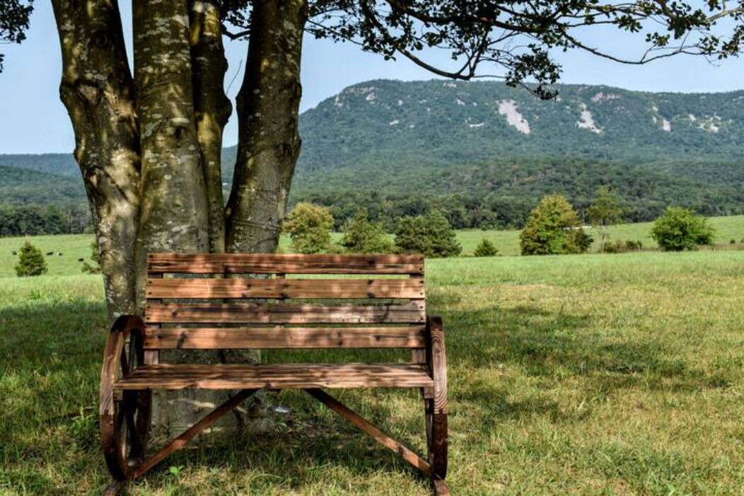 Photo of Outdoor in Luray