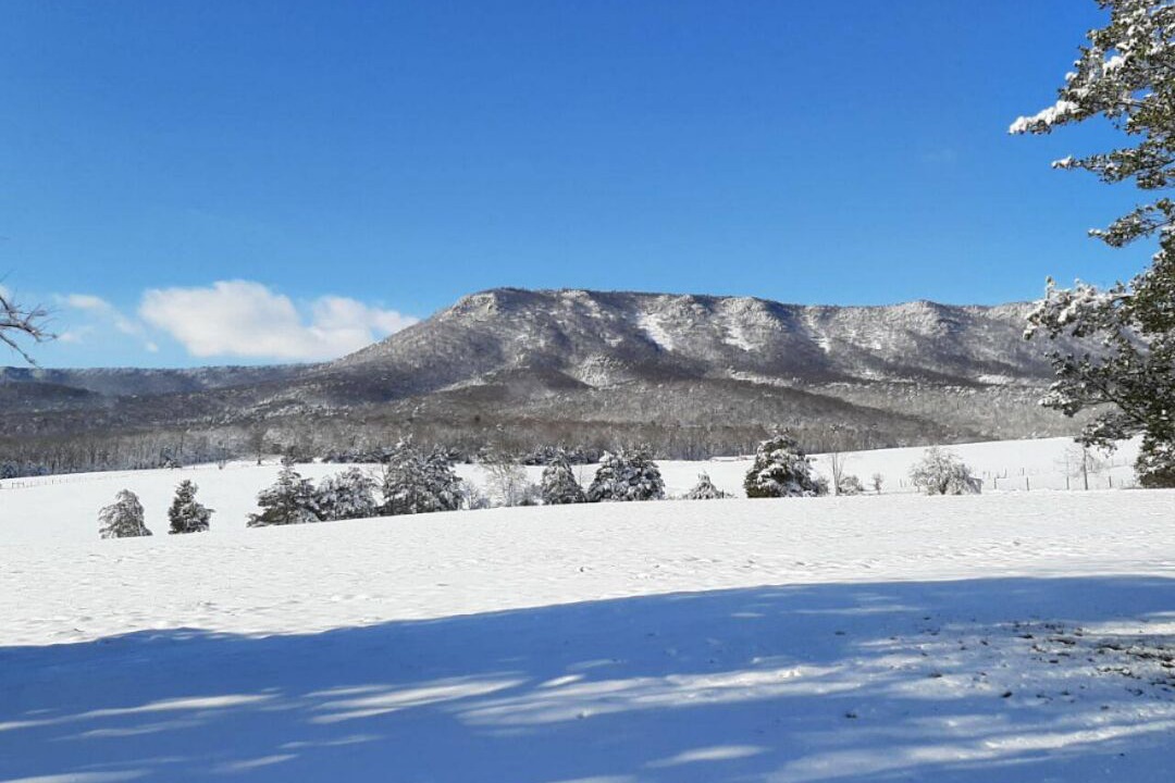 Photo of Others in Luray
