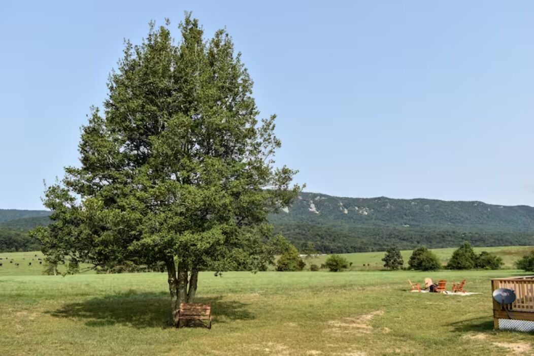 Photo of Outdoor in Luray