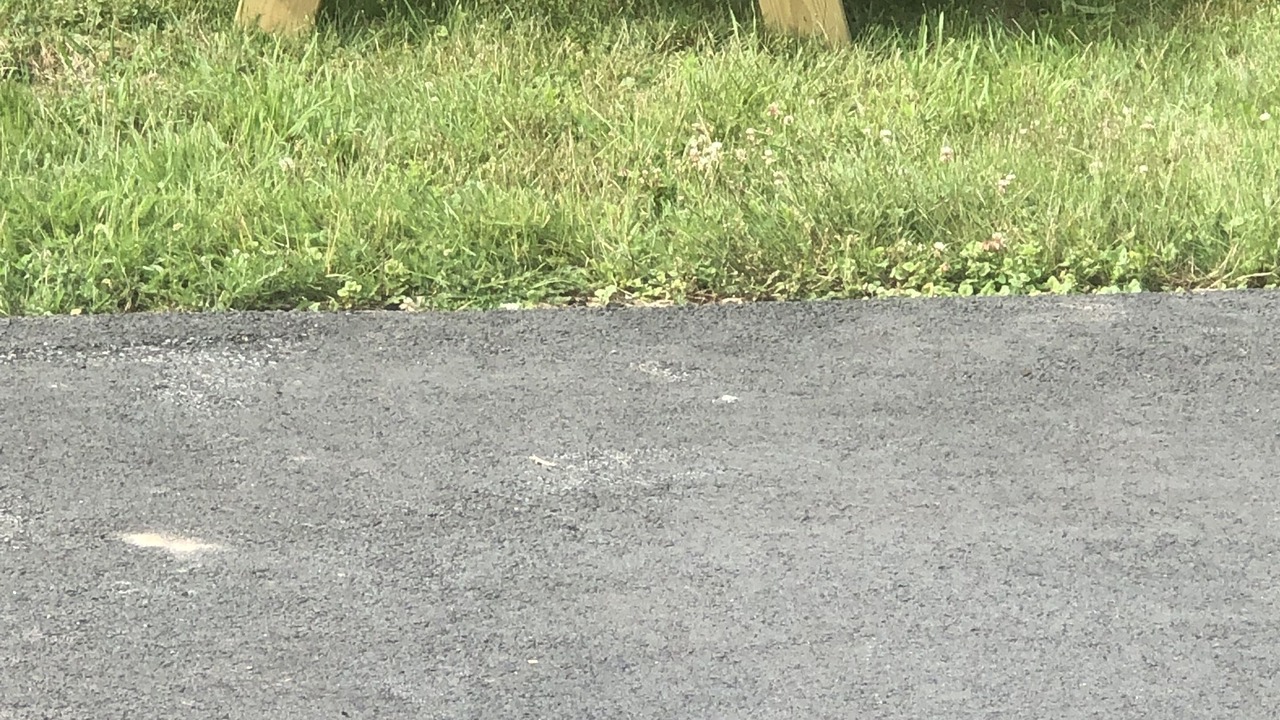 Photo of Others in Town of Delaware