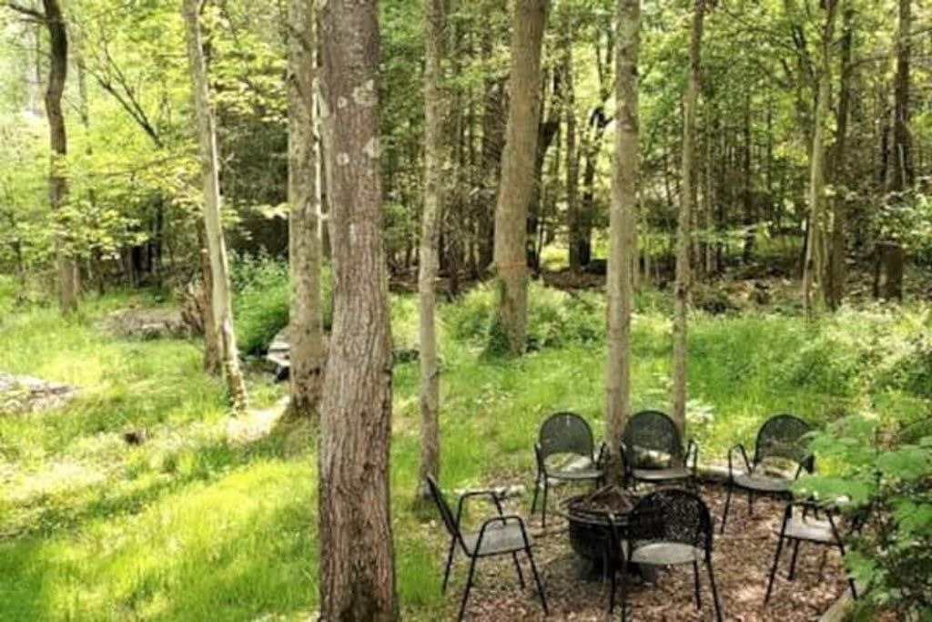 Photo of Outdoor in Lake Ariel
