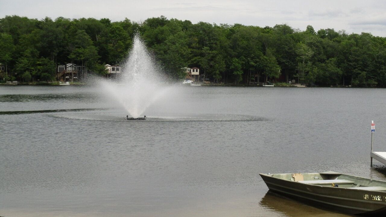 Photo of Others in Gouldsboro