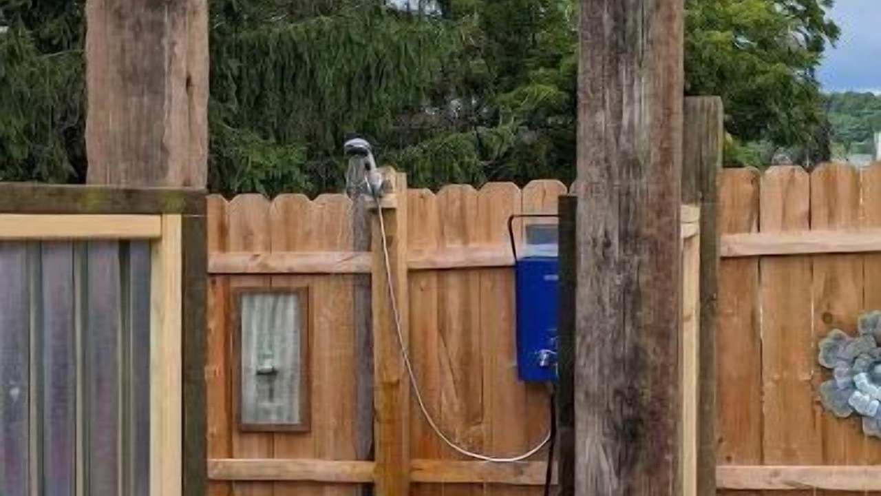Photo of Others in Rossville