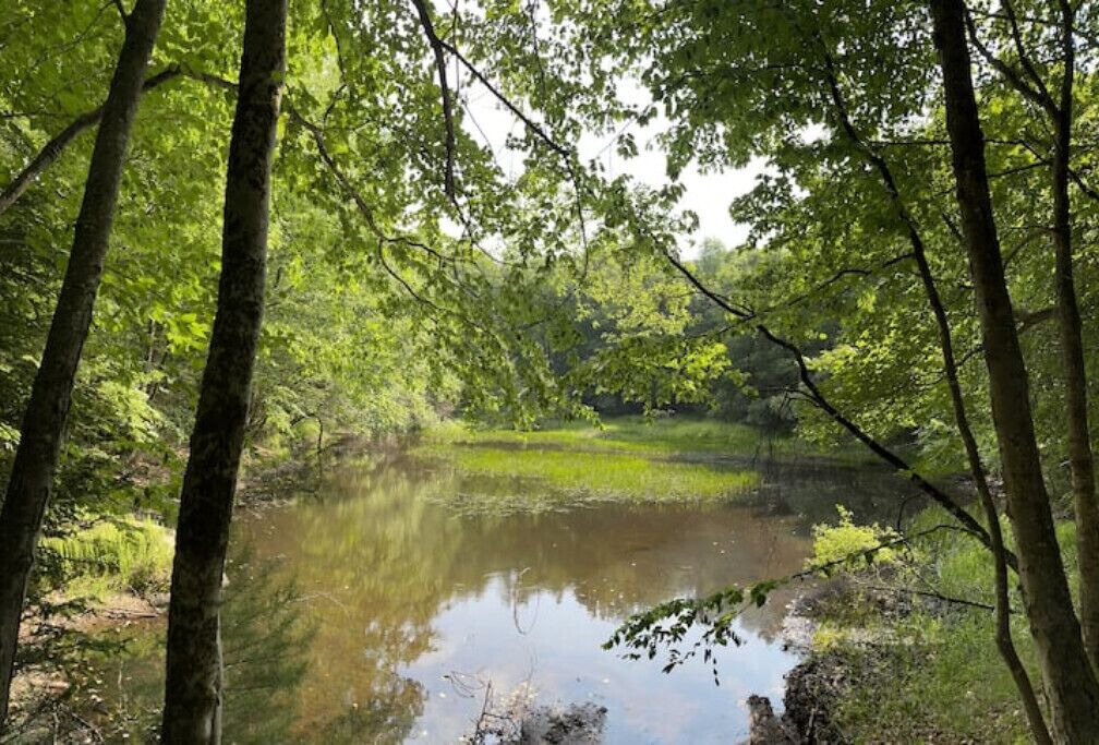 Photo of Others in Greenfield Park