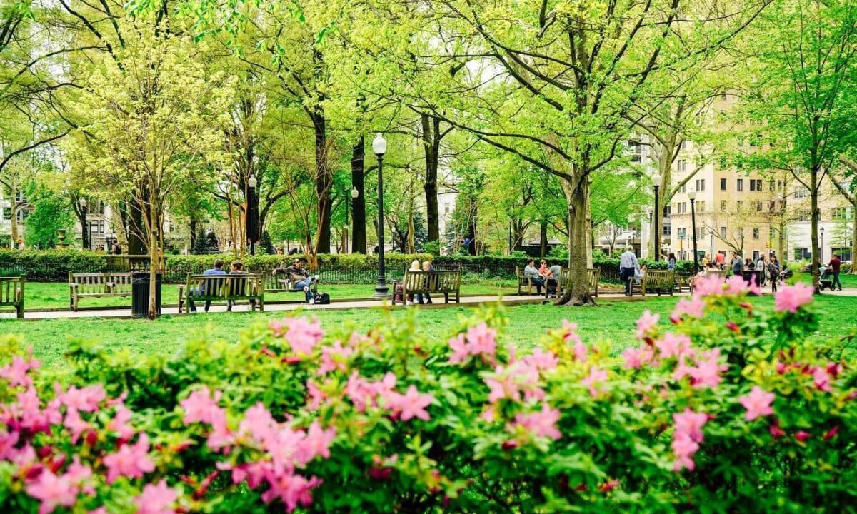 Photo of Others in Center City West