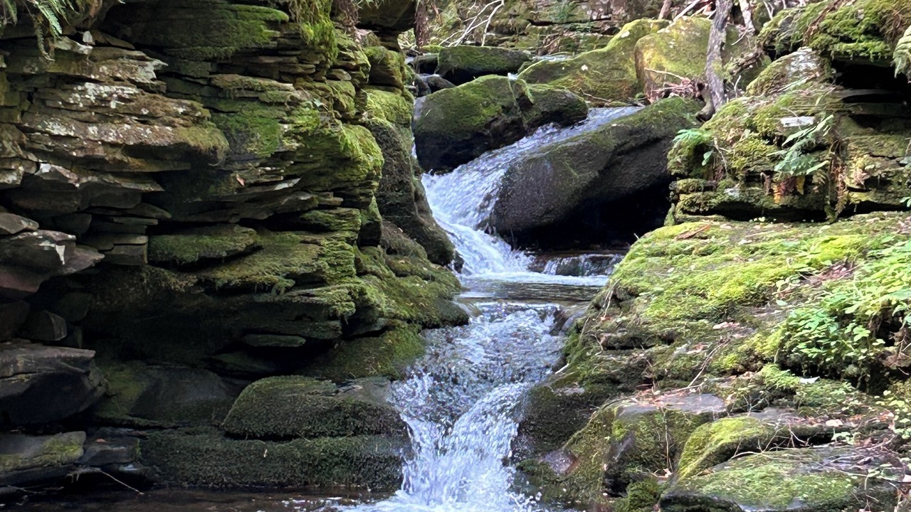 Photo of Others in Cedar Run