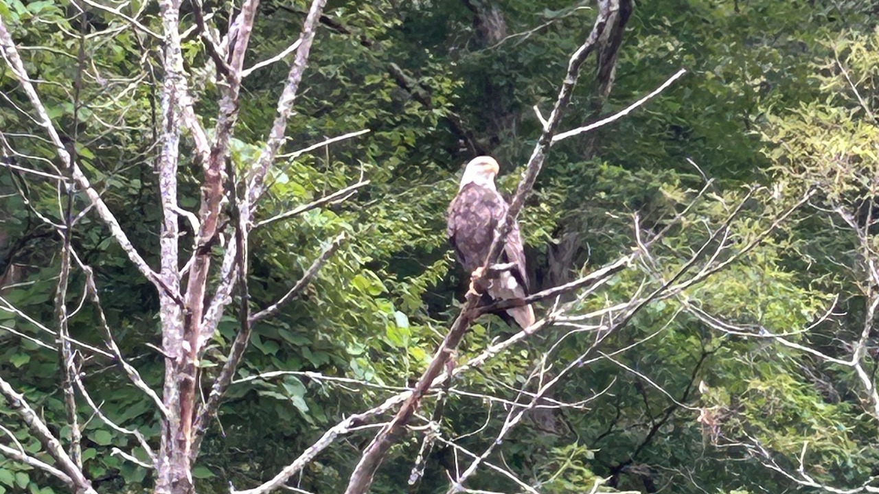 Photo of Outdoor in Cedar Run