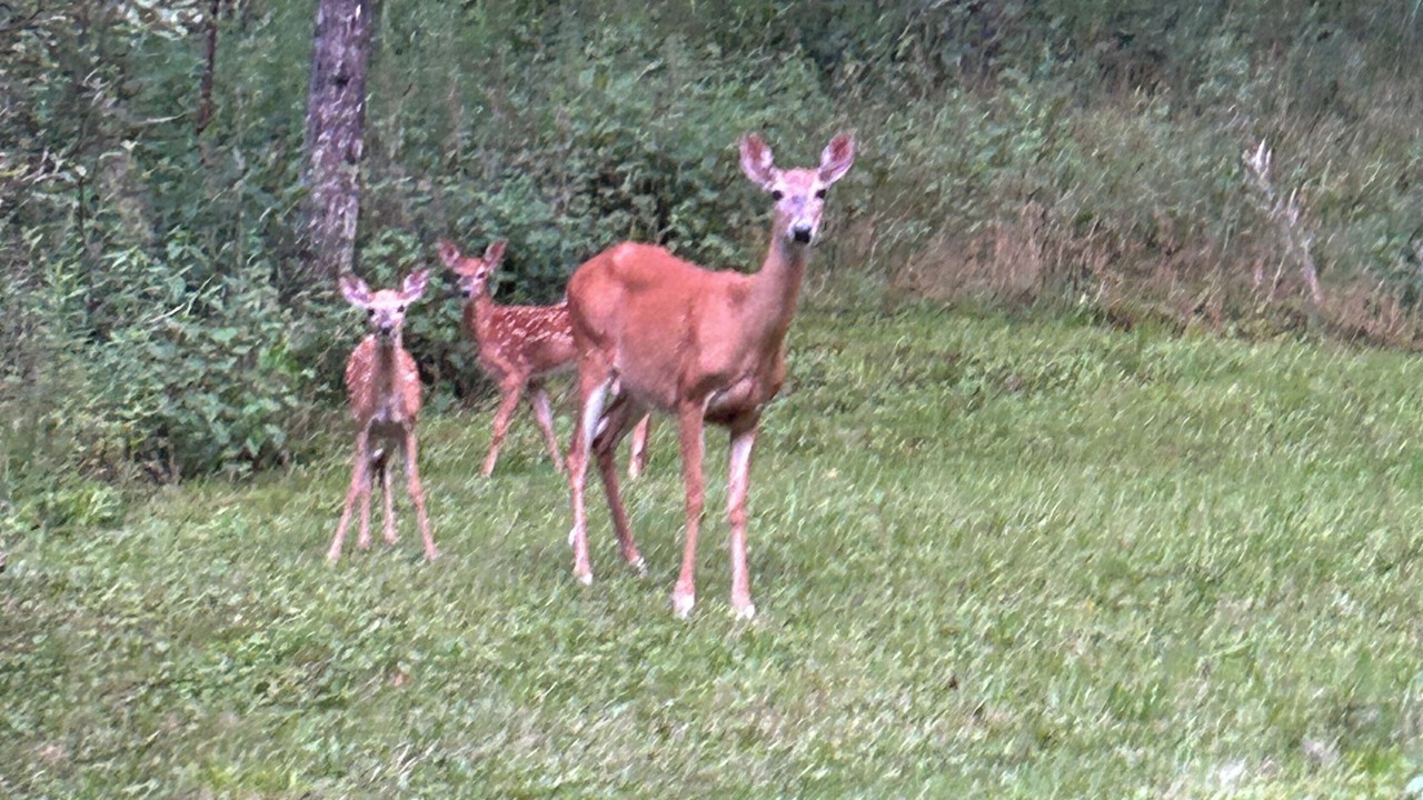 Photo of Others in Cedar Run