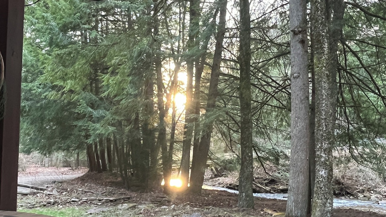 Photo of Outdoor in Tylersburg