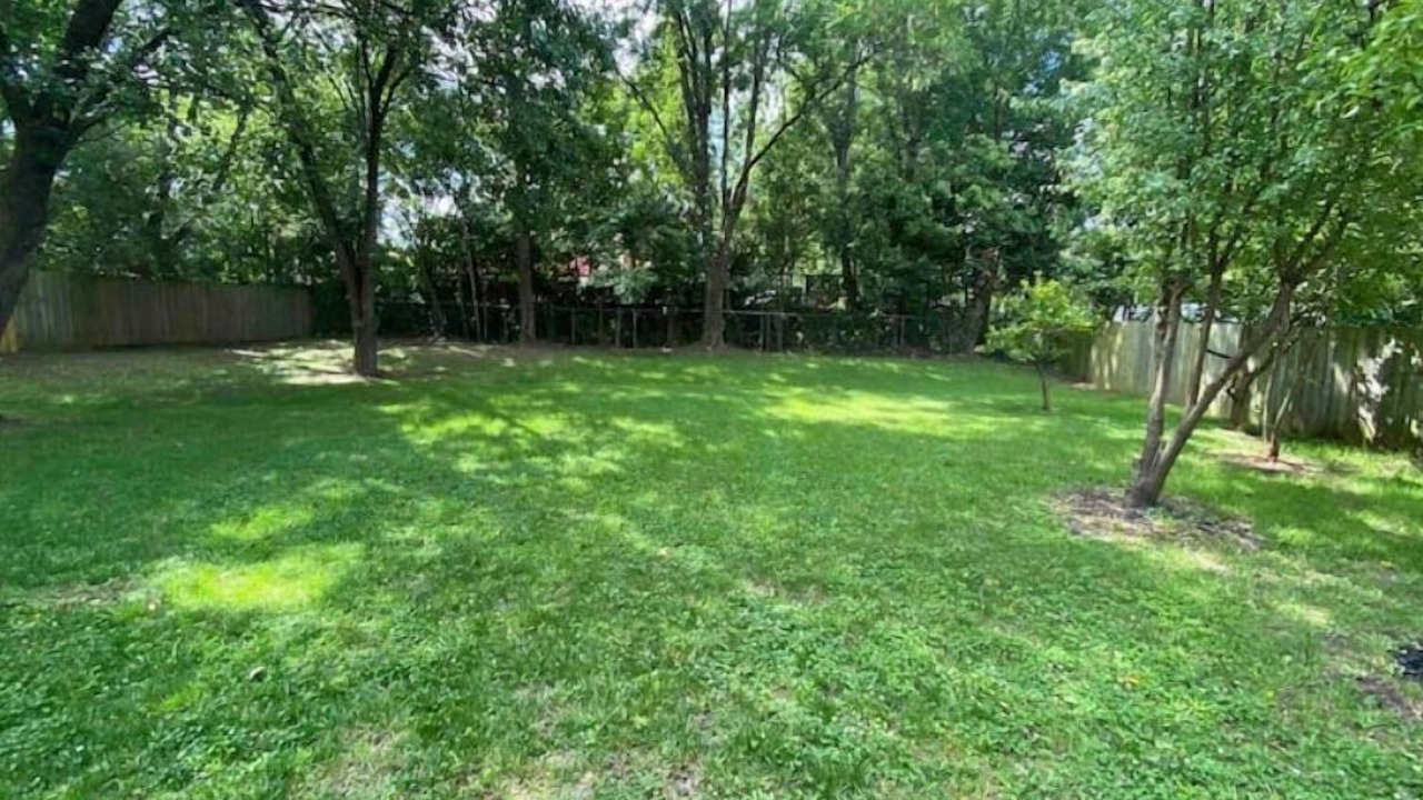 Photo of Outdoor in East Forest
