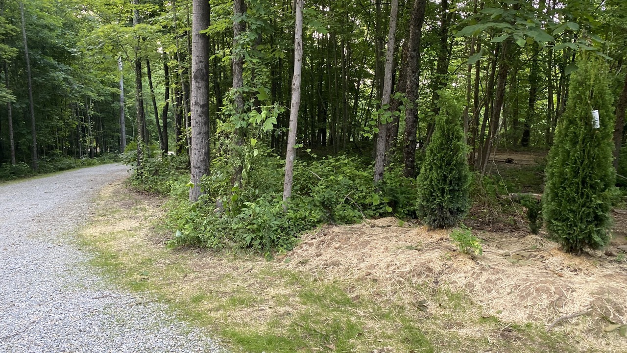 Photo of Outdoor in Carbon Hill