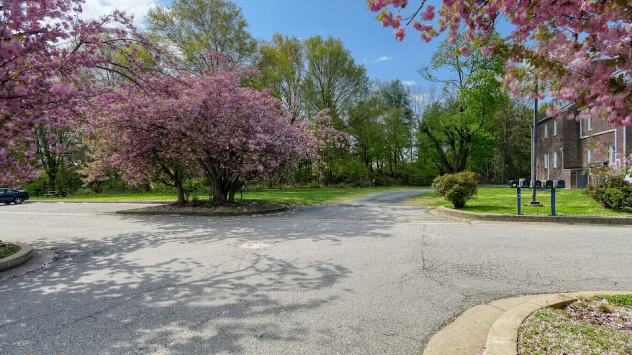 Photo of Outdoor in Perryville