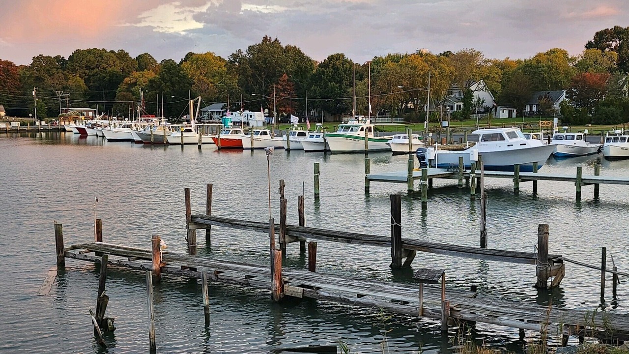 Photo of Outdoor in Tilghman