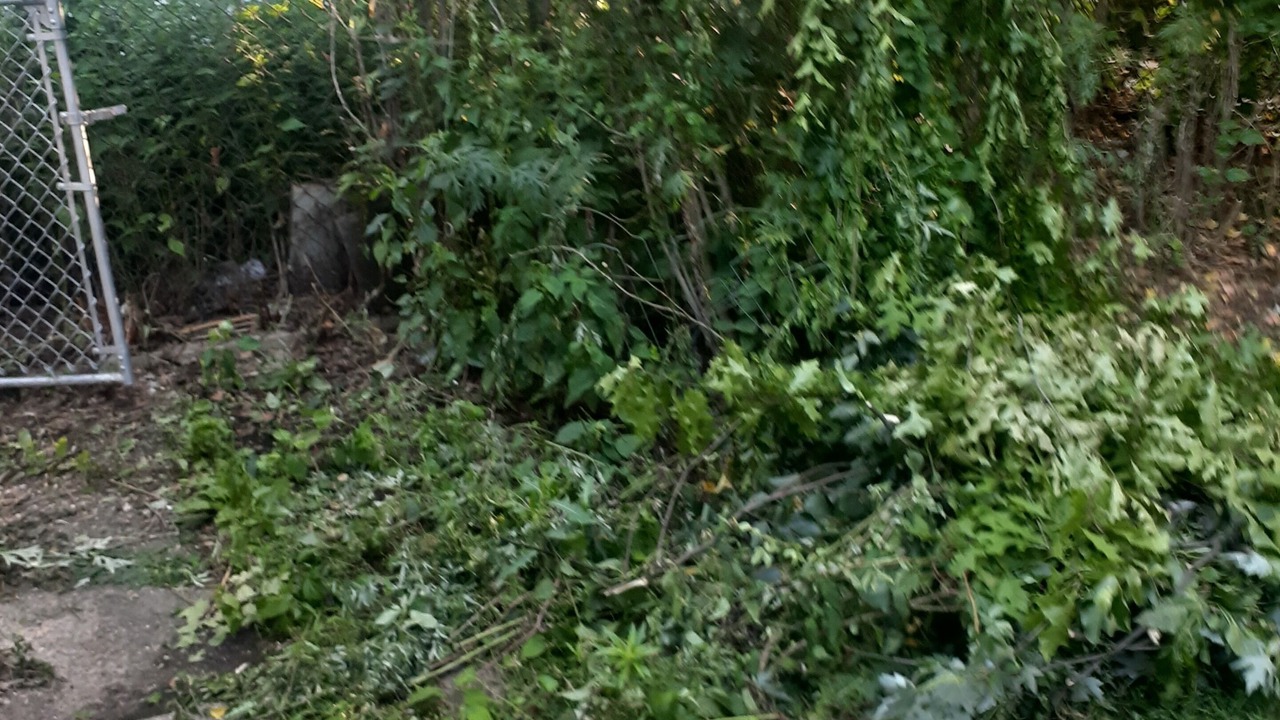 Photo of Outdoor in Ampere