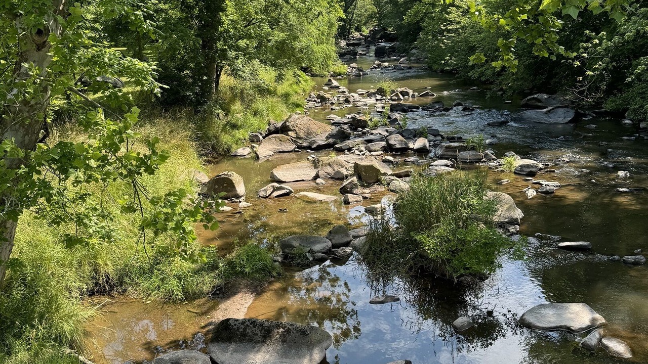 Photo of Others in Elizabethtown