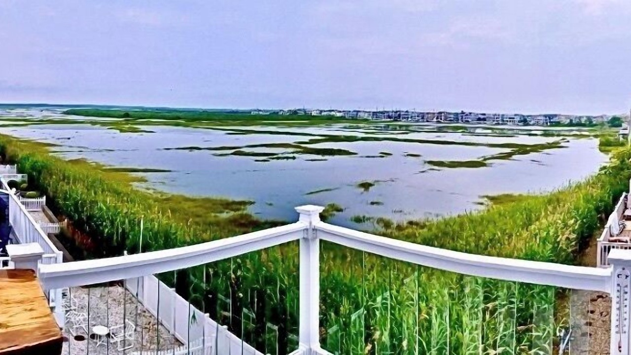 Photo of Outdoor in Sea Isle City