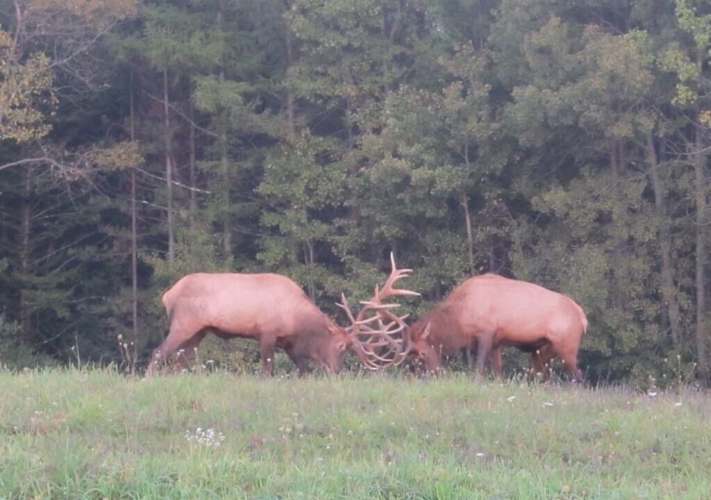 Photo of Outdoor in Karthaus