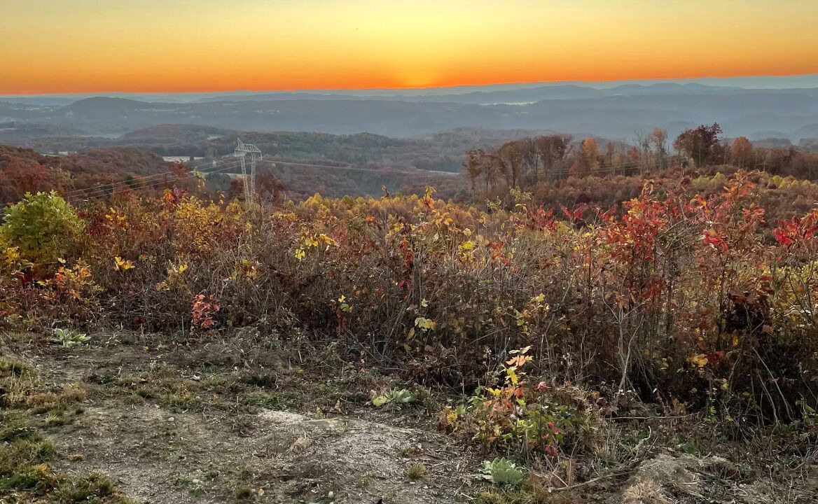 Photo of Others in Cool Ridge
