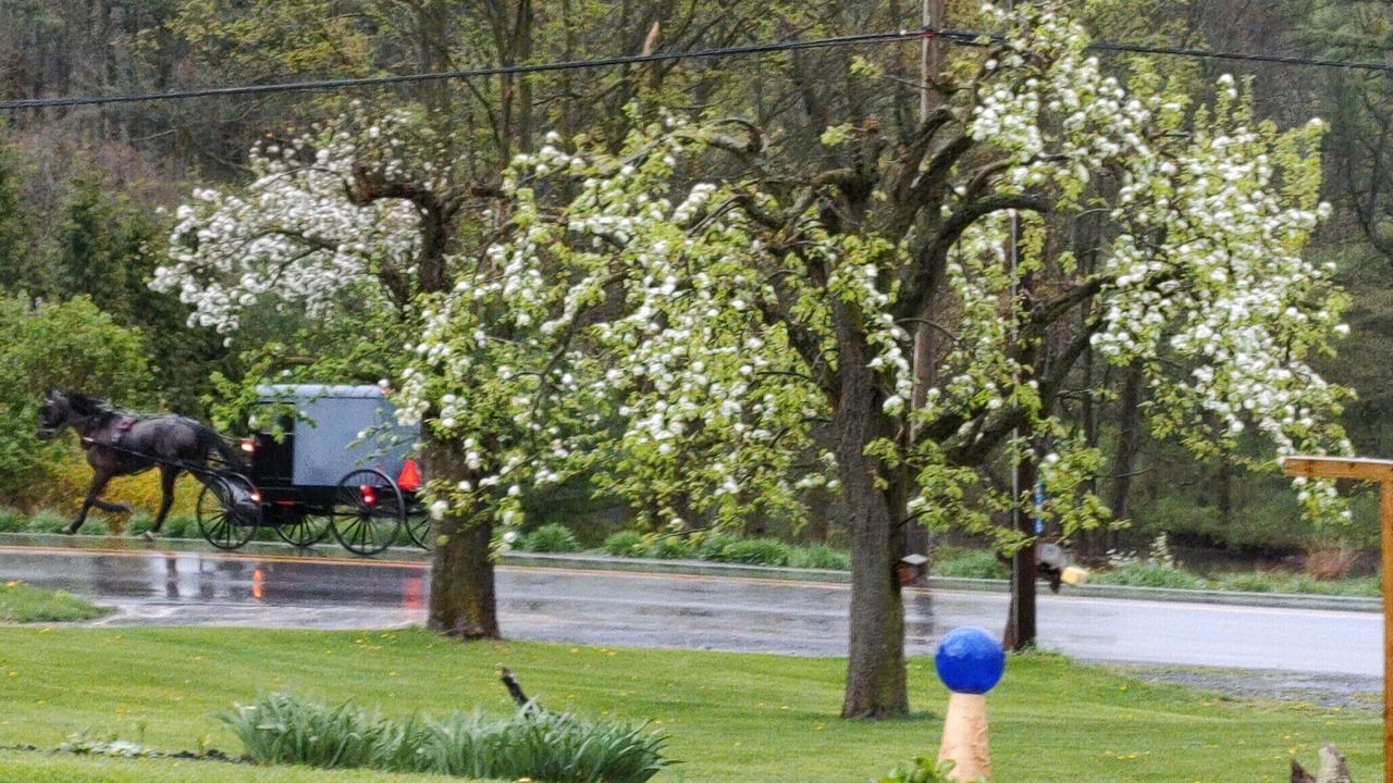Photo of Others in Tylersville