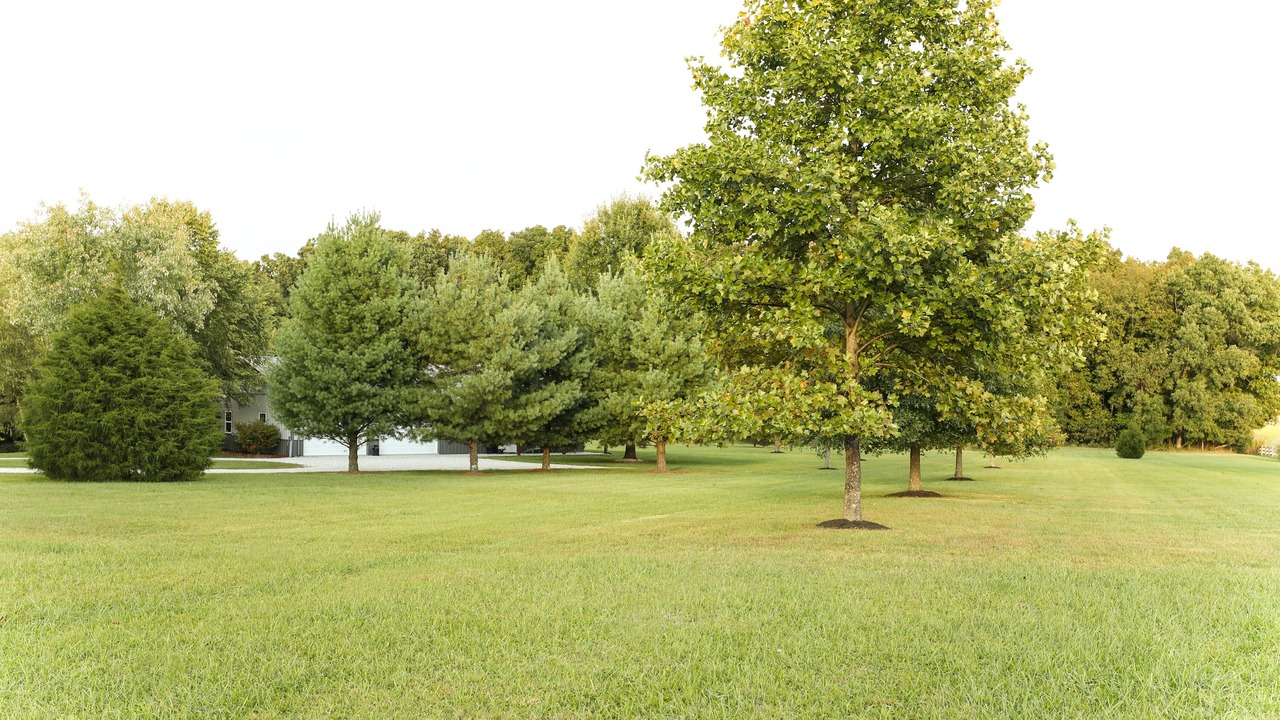 Photo of Outdoor in Pierceville