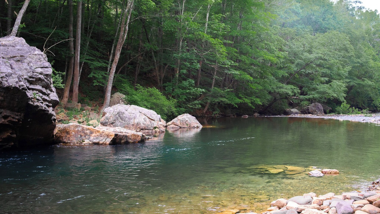 Photo of Others in Rawley Springs