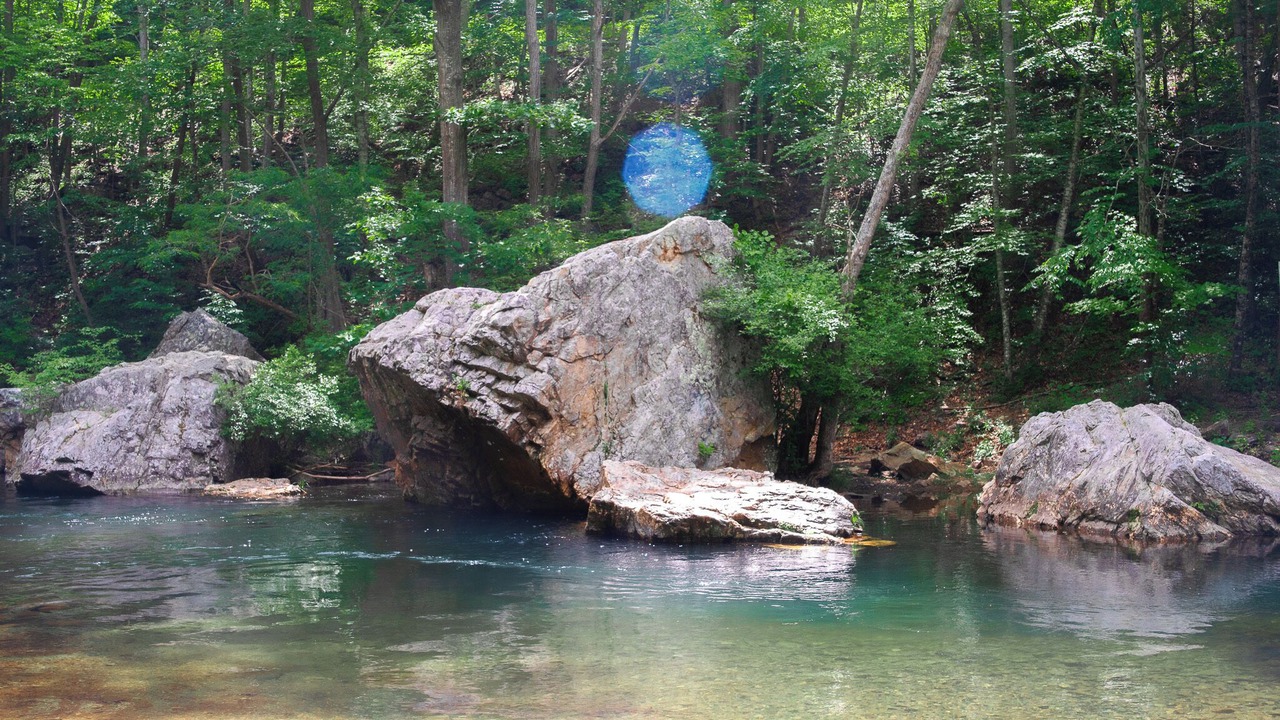 Photo of Others in Rawley Springs